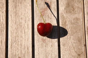 Création de sites web fruités