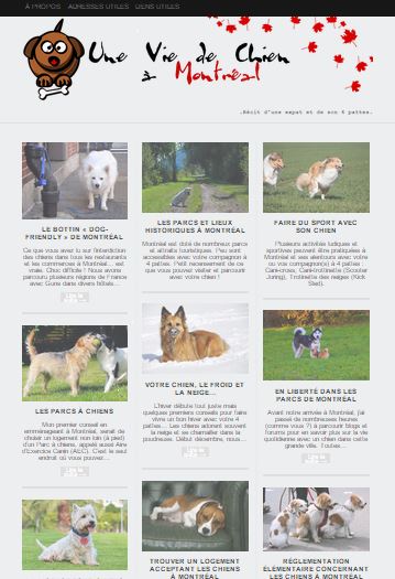 Création du blog "Une vie de chien à Montréal"