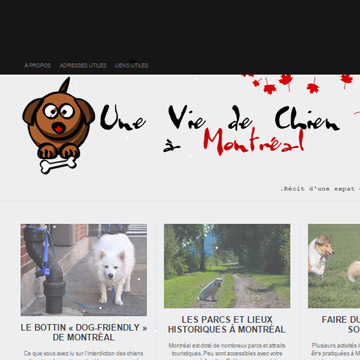 Création du blog "Une vie de chien à Montréal"