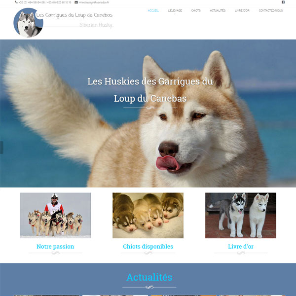 Conception de site web pour éleveurs de chiens