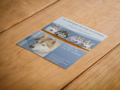 Création et impression de carte de visite Le Puy en Velay