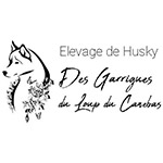 agence de communication à carqueiranne